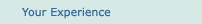 Your Experience