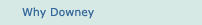 Why Downey