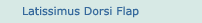 Latissimus Dorsi